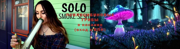 тгк Аркадак